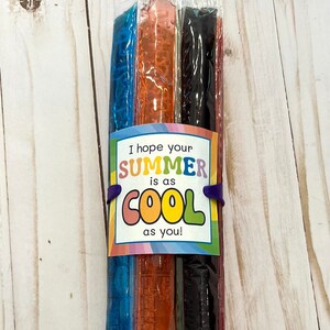 Last Day of School Popsicle Tag, Popsicle Class Gift Label, School Class Gift, Popsicle Class Party, End of the School Year, Summer Vacation