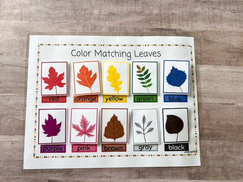 May include: Color matching leaves educational activity with 10 different colored leaves and their corresponding color names: red, orange, yellow, green, blue, purple, pink, brown, gray, and black.