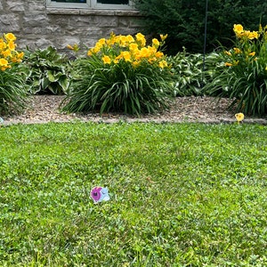 K&ouml;nnte beinhalten: Ein gr&uuml;ner Rasen mit gelben Blumen im Hintergrund. Auf dem Rasen befinden sich drei kleine, bunte Dekorationen.