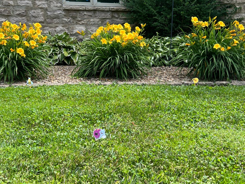 K&ouml;nnte beinhalten: Ein gr&uuml;ner Rasen mit gelben Blumen im Hintergrund. Auf dem Rasen befinden sich drei kleine, bunte Dekorationen.