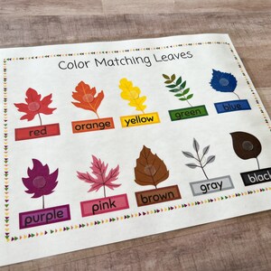 May include: Color Matching Leaves educational activity with colorful leaves and matching color labels. The leaves have a spot for a sticker or other manipulative.