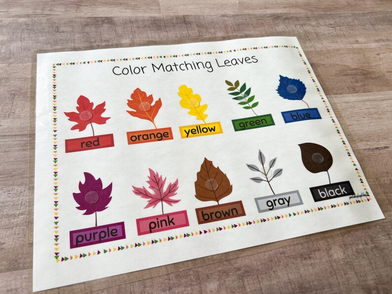 May include: Color Matching Leaves educational activity with colorful leaves and matching color labels. The leaves have a spot for a sticker or other manipulative.