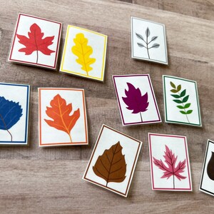 May include: Set of ten cards featuring different colored leaves, including red, yellow, orange, blue, purple, brown, pink, and green. Each card has a white background with a black border.