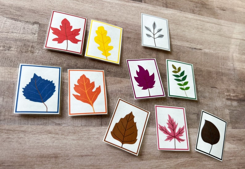 May include: Set of ten cards featuring different colored leaves, including red, yellow, orange, blue, purple, brown, pink, and green. Each card has a white background with a black border.