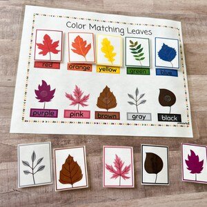 Puede incluir: Juego educativo de coincidencia de colores de hojas para niños. El juego incluye una hoja con hojas de diferentes colores y un conjunto de hojas coincidentes para colocar en la hoja. Los colores incluyen rojo, naranja, amarillo, verde, azul, morado, rosa, marrón, gris y negro.