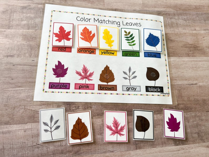 May include: Color matching leaves educational game for kids.  The game includes a sheet with different colored leaves and a set of matching leaves to be placed on the sheet.  The colors include red, orange, yellow, green, blue, purple, pink, brown, gray, and black.
