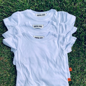 3 PK Modal and Supima Cotton Toddler T shirts