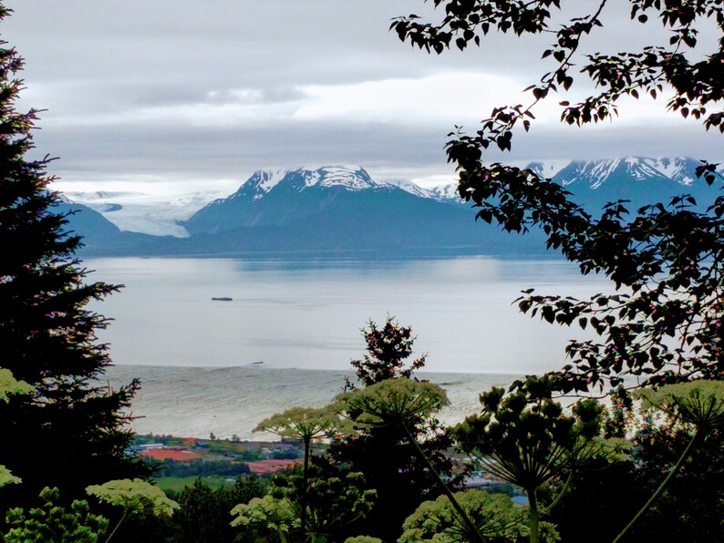 Homer Alaska Ghost Ship 20
