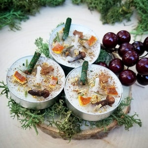 May include: Three white tea light candles in silver holders, decorated with spices and herbs, sit on a wooden slice surrounded by green moss. Dark red berries are arranged to the right, creating a natural, earthy aesthetic.