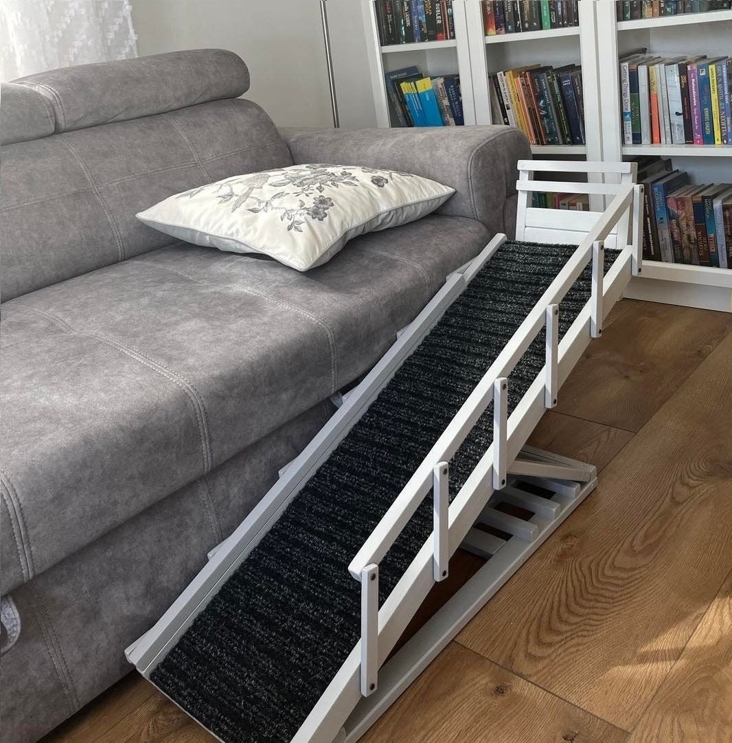 Pet ramp sales with rails
