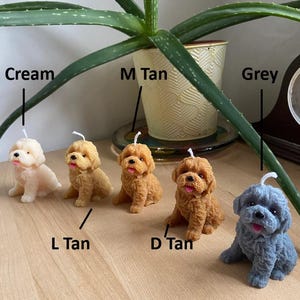 May include: Six adorable dog-shaped candles in various colours, including cream, tan, and grey. The candles are arranged in a row on a wooden surface. The candles are all sitting upright and have a realistic dog shape.