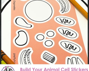 Homeschooling Biology Activity, Animal Cell Stickers, Science Stickers, Biology Stickers, Homeschool Science Teacher, Homeschooling Biology,