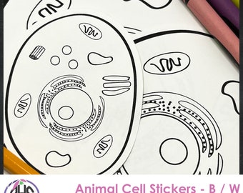 Animal Cell Stickers, Science Stickers, Biology Stickers, Homeschool Science Teacher, Homeschooling Biology, Coloring Biology Stickers