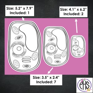 Plant Cell Stickers, Science Stickers, Biology Stickers, Homeschool ...