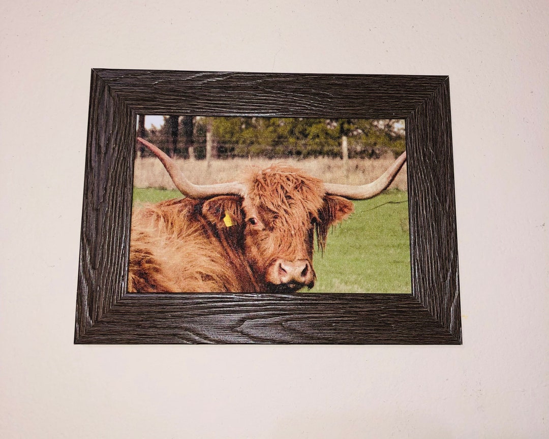Farmhouse Bull Picture: 4x6 Framed Wall Art - Etsy