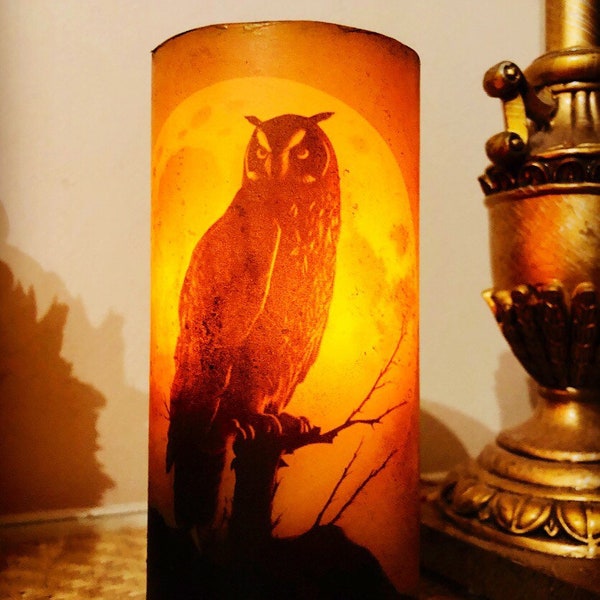 6 inch tall Beautiful owl and moon with refreshing nighttime woodsy scent batteries included fast free shipping