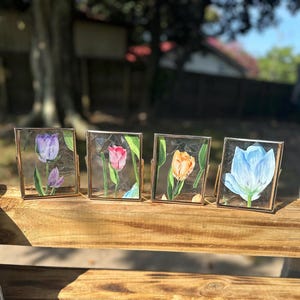 Free Shipping 4 3/4 inch tall Beautiful sun catcher see through tulip flower in a gold frame picture