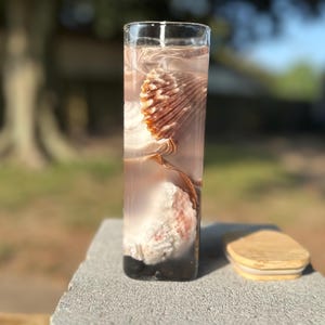 7.25 inch tall Seashell Gel wax jar candle with sea spa scent comes with bamboo lid. free shipping