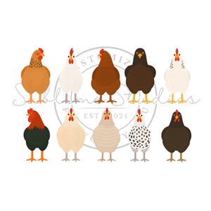 Może przedstawiać: Kolekcja dziewięciu kreskówkowych kur w różnych kolorach, w tym brązowym, białym, czarnym i nakrapianym. Każda kura ma czerwony grzebień i żółte nogi. Obraz ma białe tło z okrągłą pieczęcią z napisem "Sublime Studios EST 024".