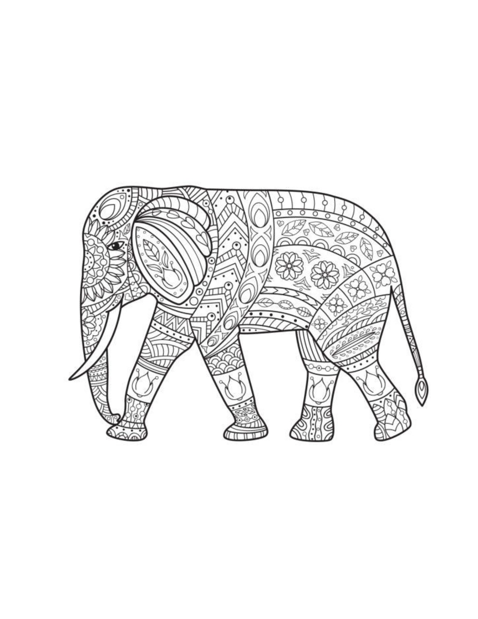 Elephant Mandala Coloring Elephant Coloring 7 pages | Etsy