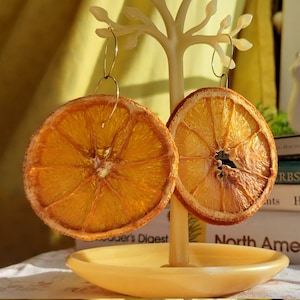 Real Dried Orange Slice Earrings