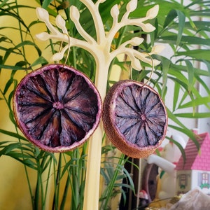 Real Dried Blood Orange Earrings