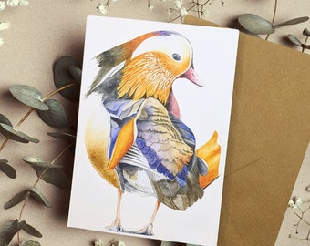Mandarin duck card, original watercolour, animal greeting card, greeting card blank, Animal art, duck gift, duck card
