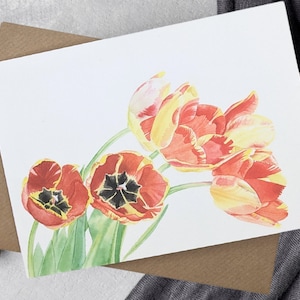 Red and Yellow tulips and Envelope - botanical, spring card, floral card, greeting card, birthday, christening, seasonal