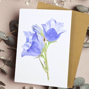 Campanula Karte, botanische Aquarell, Campanula Blume, Blumen Grußkarte, botanische Grußkarte, lila Campanula, Original Kunst.