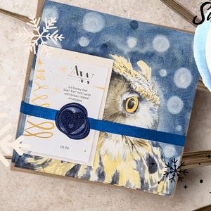 Tarjetas de nieve y búhos, Tarjeta de búho, búho de invierno - cuadrado, Paquete navideño, Tarjetas navideñas, Tema de invierno, Paquete de 3 tarjetas