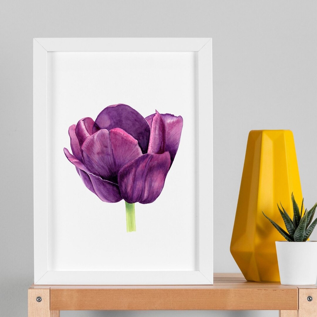 Botanical Illustration, Tulip Wall Art, Floral Wall Art, Tulip Wall Art