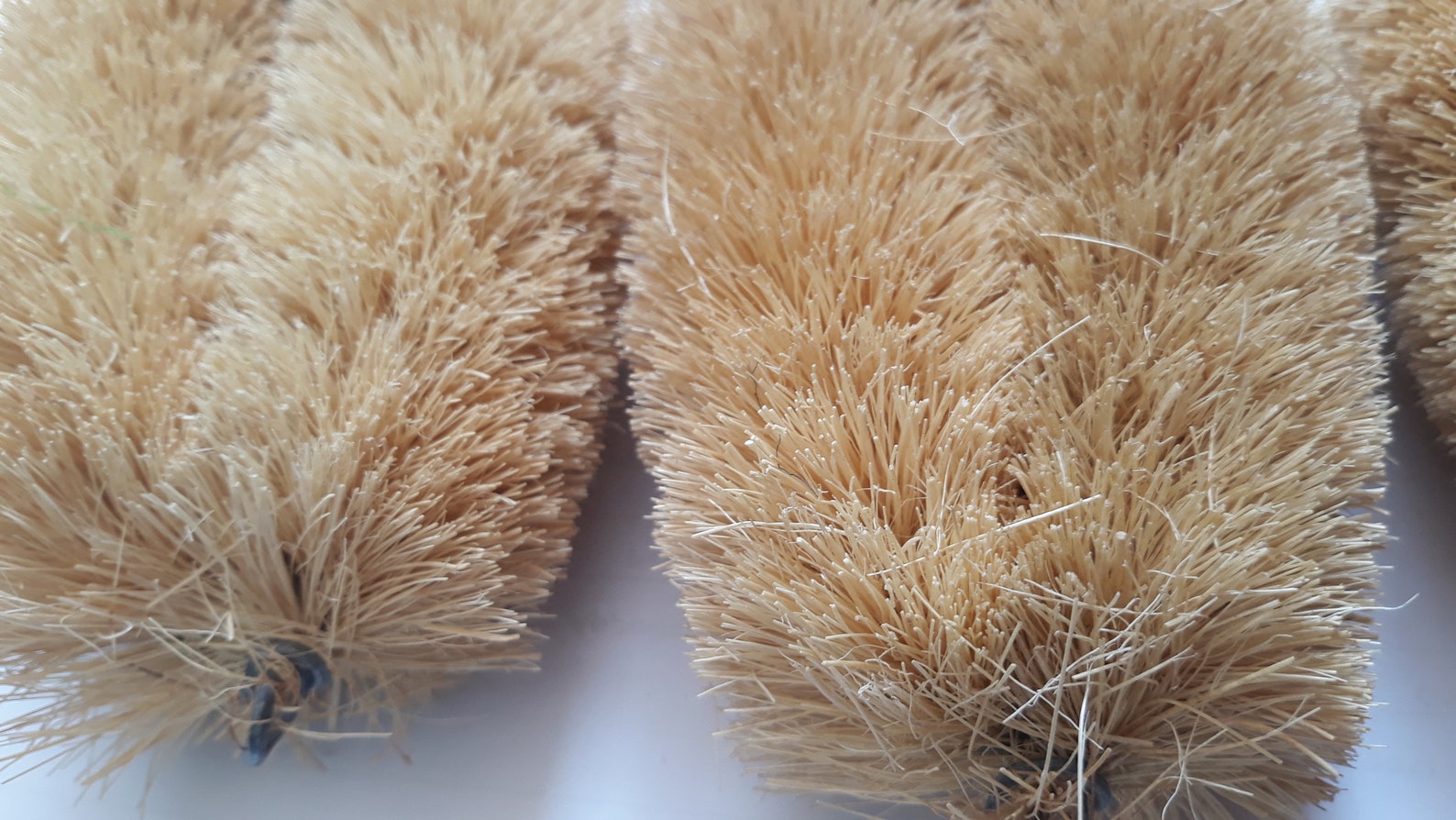 Coconut Fiber Brush Eco Friendly Ceylon Handmade Coir Brush Etsy