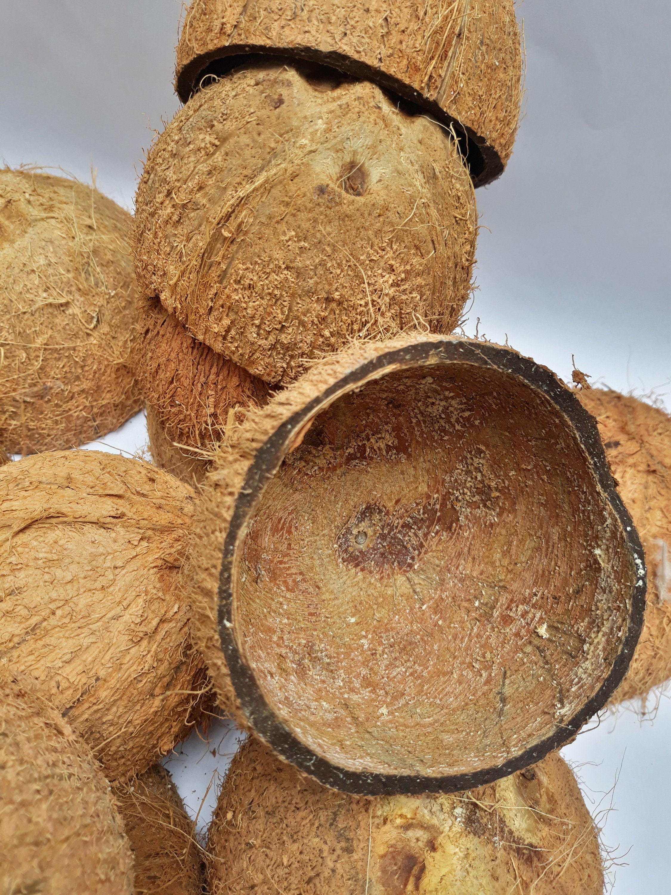 Coconut Shell Half/ Coconut Shell | Etsy