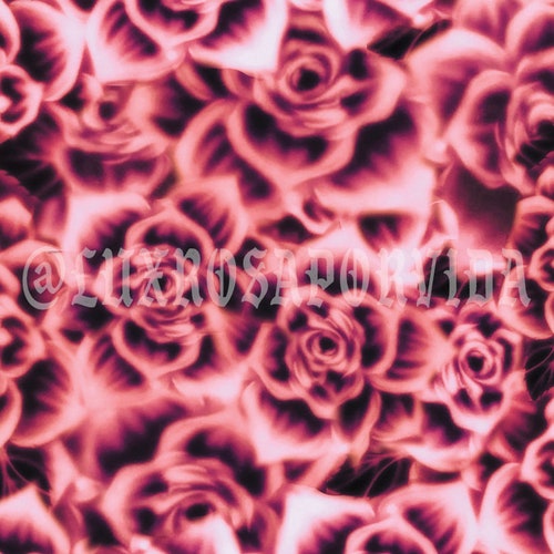 Early 2000s Y2K 'ROSAS ROJAS' Airbrush 90s Old School Rose Backdrop RED (Extra Large)