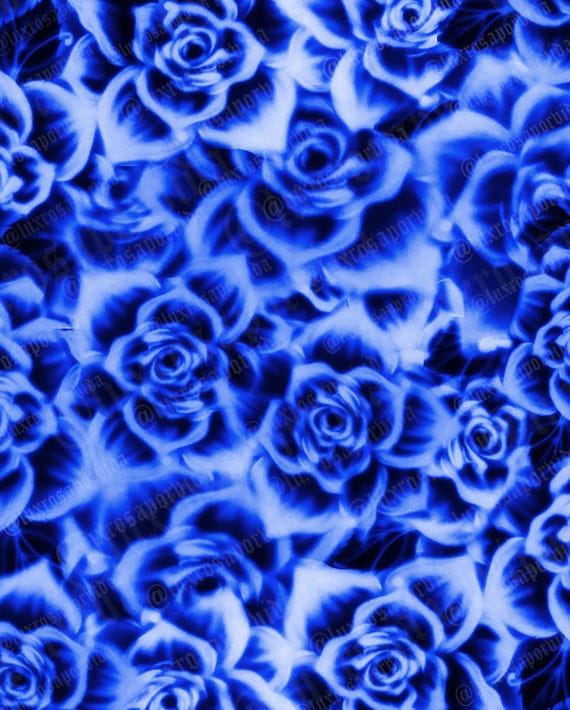 Y2K Airbrush Backdrop Rosa Dreamy Blue Rose Flowers Glamour Shots