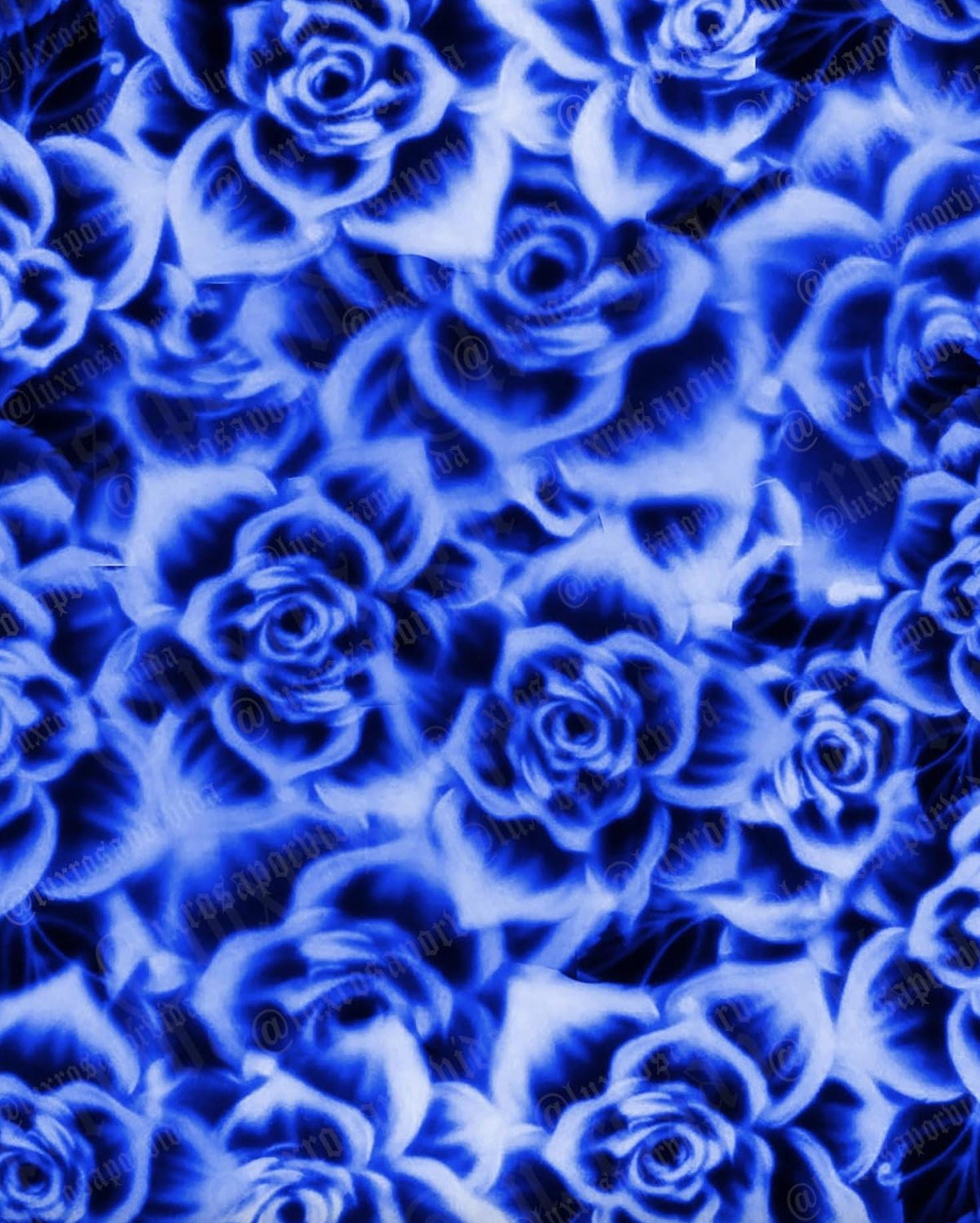 Y2K Airbrush Backdrop Airbrushed Roses Blue | Glamour Shots