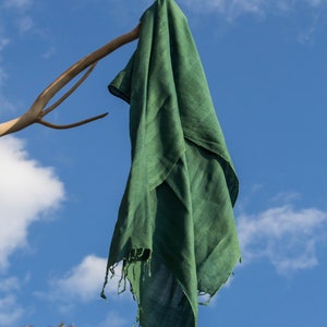 Puede incluir: Una bufanda verde oscuro con bordes con flecos cuelga de una rama contra un cielo azul con nubes blancas.