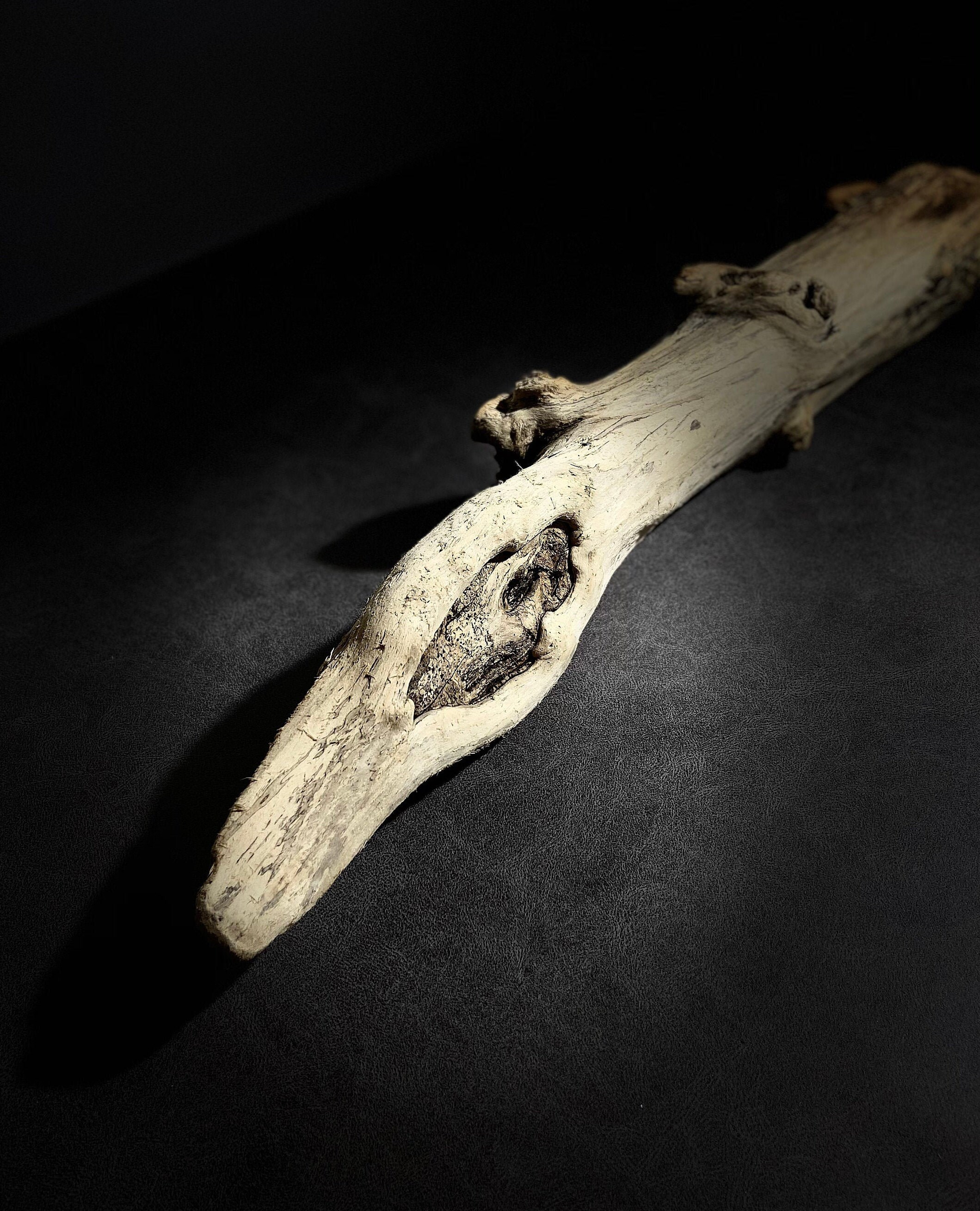 Sea Wood Exclusive Home Decor Natural Material Unique Gift Etsy