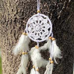May include: White dream catcher with white feathers and wooden beads hanging from a tree trunk.