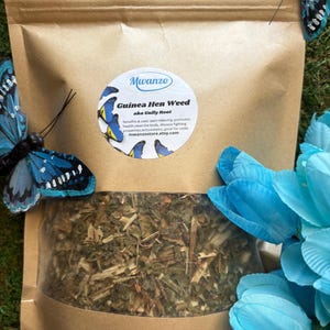 Guinea Hen Weed (Anamu)