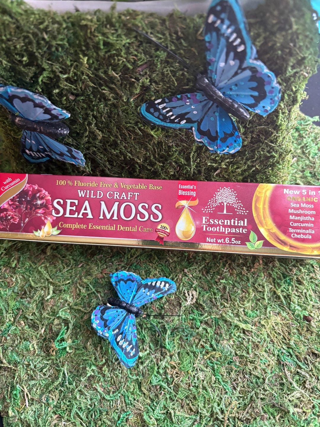 Seamoss Organic Toothpaste - Etsy