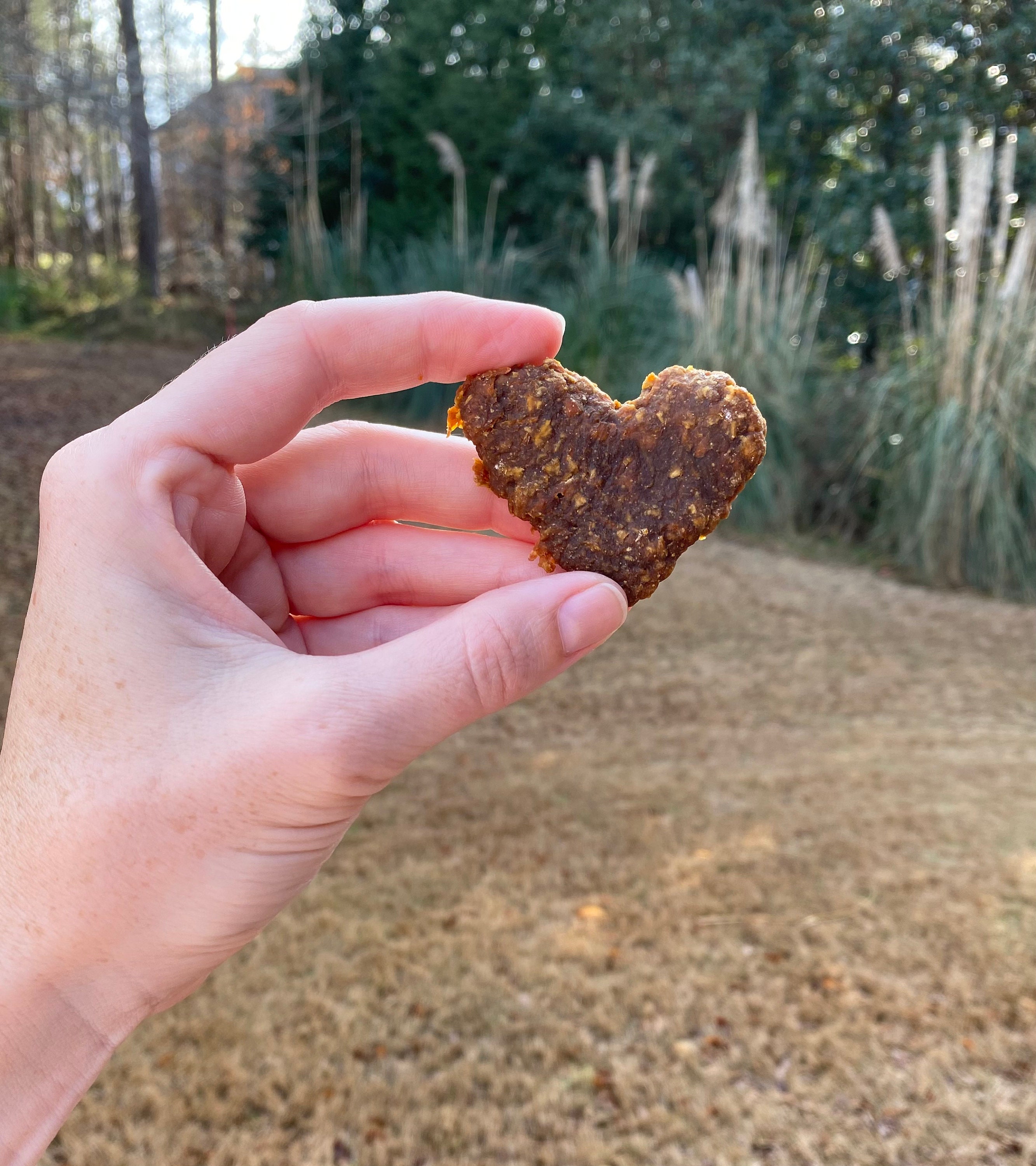 Allnatural Horse Treats Etsy