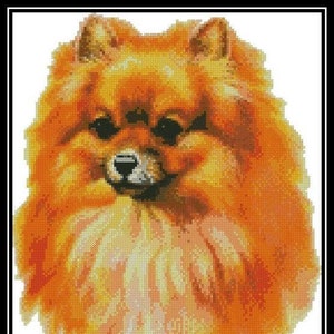 Pomeranian  - Cross Stitch Chart/Pattern/Design/XStitch  Instant Download (PDF Format) PRINTED chart also available