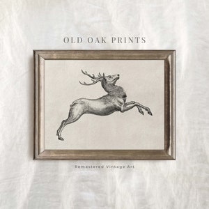 Antique Deer Sketch | Vintage Etching | Antique Woodland Animal Art PRINTABLE | Christmas print | 545