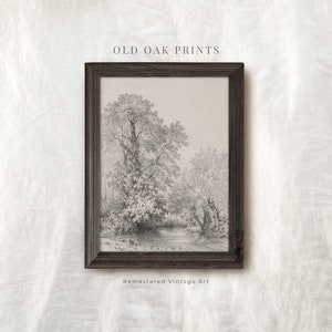 Vintage Oak Tree Landscape Sketch: Early 1800s Etching (Printable)