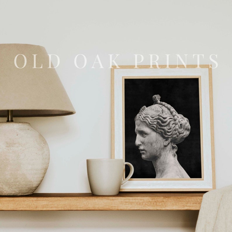 Dark Academia Statue Wall Art European Wall Decor Dark Aesthetic