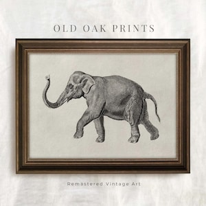 Vintage Elephant Drawing | Nursery Décor Indian Elephant Sketch | Neutral Vintage Art PRINTABLE | 553