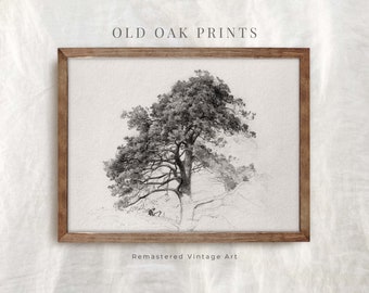 Old Oak Tree Print | PRINTABLE  Tree Drawing | Pencil Sketch Art | Modern Farmhouse Wall Art | 932