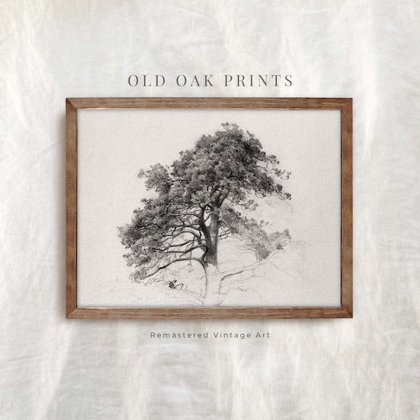 Old Oak Tree Print | PRINTABLE  Tree Drawing | Pencil Sketch Art | Modern Farmhouse Wall Art | 932