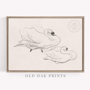 Swan Bird Drawing Art Print | Antique Neutral Nursery Wall Art Print | PRINTABLE Farmhouse Wall Décor | Digital Download Art | 603